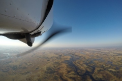 Lady Bush Pilot - African Tour - Flap 3