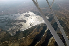 Lady Bush Pilot - African Tour - Flap 3