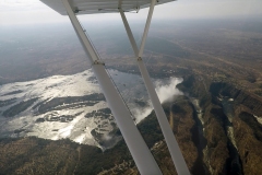 Lady Bush Pilot - African Tour - Flap 3