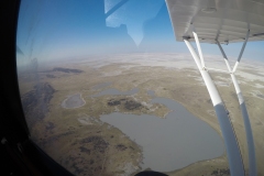 Lady Bush Pilot - African Tour - Flap 3