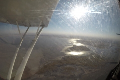 Lady Bush Pilot - African Tour - Flap 3