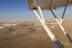 Lady Bush Pilot - African Tour - Flap 3