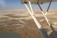 Lady Bush Pilot - African Tour - Flap 3