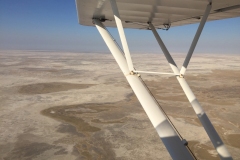 Lady Bush Pilot - African Tour - Flap 3