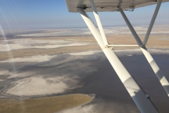 Lady Bush Pilot - African Tour - Flap 3