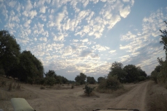 Lady Bush Pilot - African Tour - Flap 3