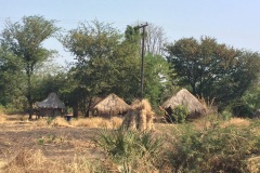 Lady Bush Pilot - African Tour - Flap 3
