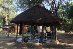 Lady Bush Pilot - African Tour - Flap 3