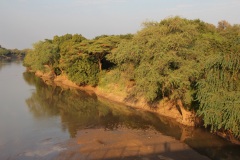 Lady Bush Pilot - African Tour - Flap 3