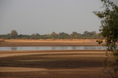 Lady Bush Pilot - African Tour - Flap 3