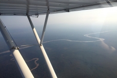 Lady Bush Pilot - African Tour - Flap 3