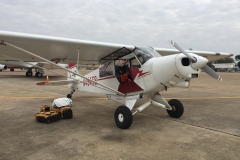 Lady Bush Pilot - African Tour - Flap 3