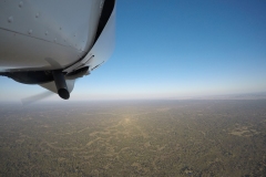 Lady Bush Pilot - African Tour - Flap 3