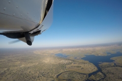 Lady Bush Pilot - African Tour - Flap 3