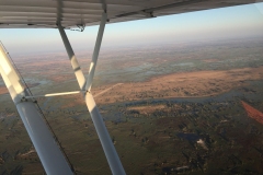 Lady Bush Pilot - African Tour - Flap 3