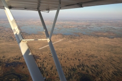 Lady Bush Pilot - African Tour - Flap 3