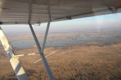 Lady Bush Pilot - African Tour - Flap 3