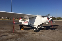 Lady Bush Pilot - African Tour - Flap 3