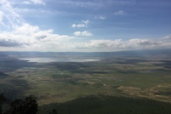 Lady Bush Pilot - African Tour - Flap 3