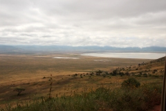 Lady Bush Pilot - African Tour - Flap 3