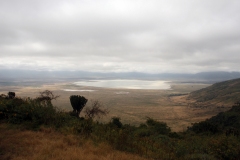 Lady Bush Pilot - African Tour - Flap 3