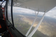 Lady Bush Pilot - African Tour - Flap 3