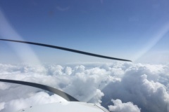 Lady Bush Pilot - African Tour - Flap 3