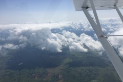 Lady Bush Pilot - African Tour - Flap 3