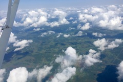 Lady Bush Pilot - African Tour - Flap 3