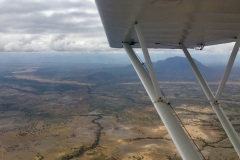 Lady Bush Pilot - African Tour - Flap 3