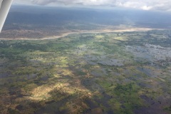 Lady Bush Pilot - African Tour - Flap 3