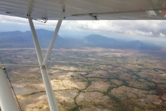 Lady Bush Pilot - African Tour - Flap 3
