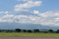 Lady Bush Pilot - African Tour - Flap 3