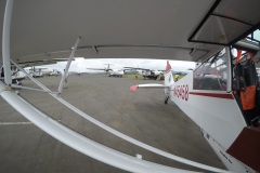Lady Bush Pilot - African Tour - Flap 3