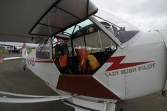 Lady Bush Pilot - African Tour - Flap 3
