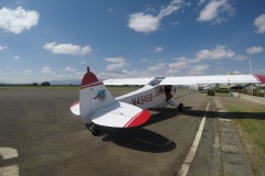 Lady Bush Pilot - African Tour - Flap 3