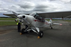 Lady Bush Pilot - Flap 3