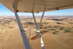 Lady Bush Pilot - African Tour - Flap 4
