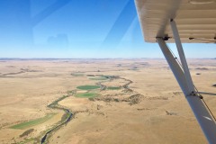 Lady Bush Pilot - African Tour - Flap 4