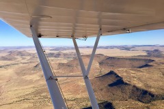 Lady Bush Pilot - African Tour - Flap 4