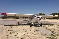 Lady Bush Pilot - African Tour - Flap 4