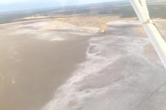 Lady Bush Pilot - African Tour - Flap 4