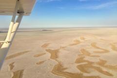 Lady Bush Pilot - African Tour - Flap 4