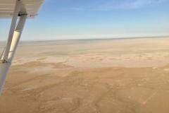 Lady Bush Pilot - African Tour - Flap 4