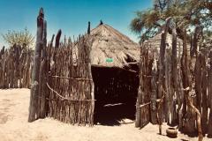 Lady Bush Pilot - African Tour - Flap 4