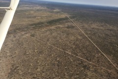Lady Bush Pilot - African Tour - Flap 4