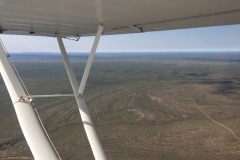 Lady Bush Pilot - African Tour - Flap 4