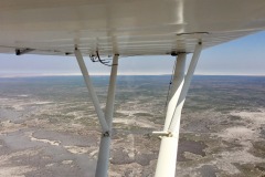 Lady Bush Pilot - African Tour - Flap 4