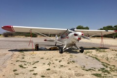 Lady Bush Pilot - African Tour - Flap 4