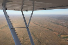 Lady Bush Pilot - African Tour - Flap 4